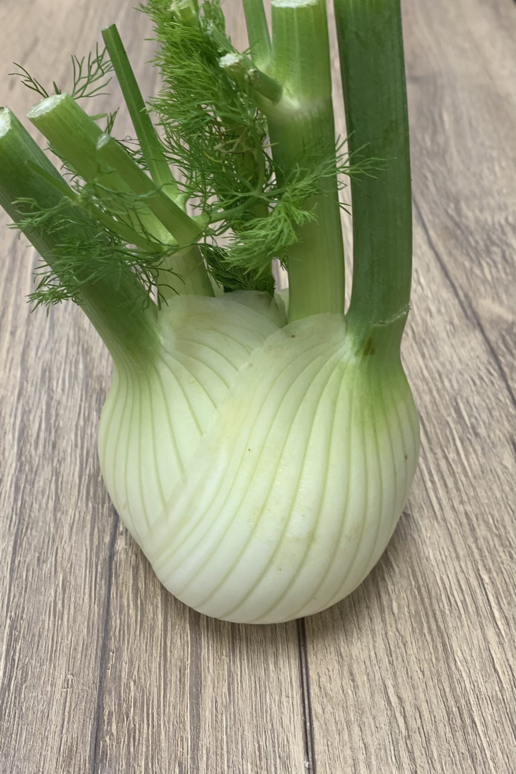 Fennel Top Fruits Wellington