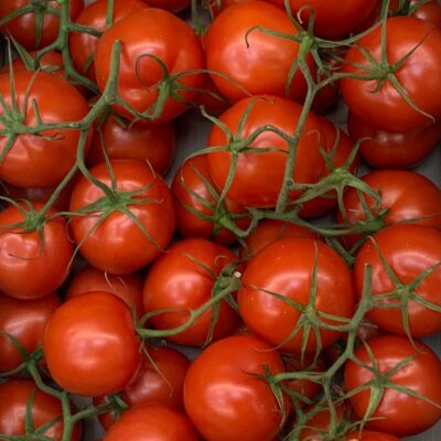 Top Fruits -Tomatoes Vine