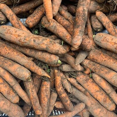 Carrots Dirty
