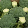 Broccoli (English)