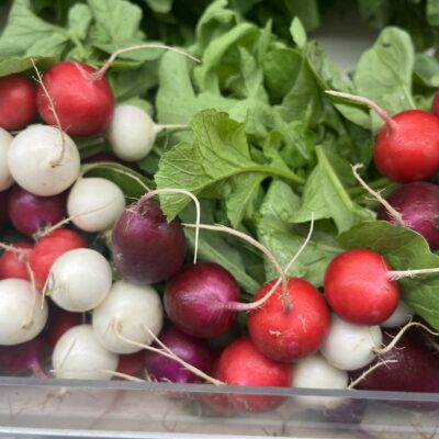 Radish