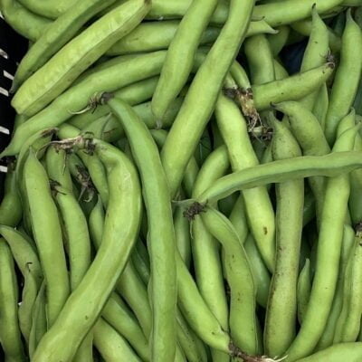 Broad Beans