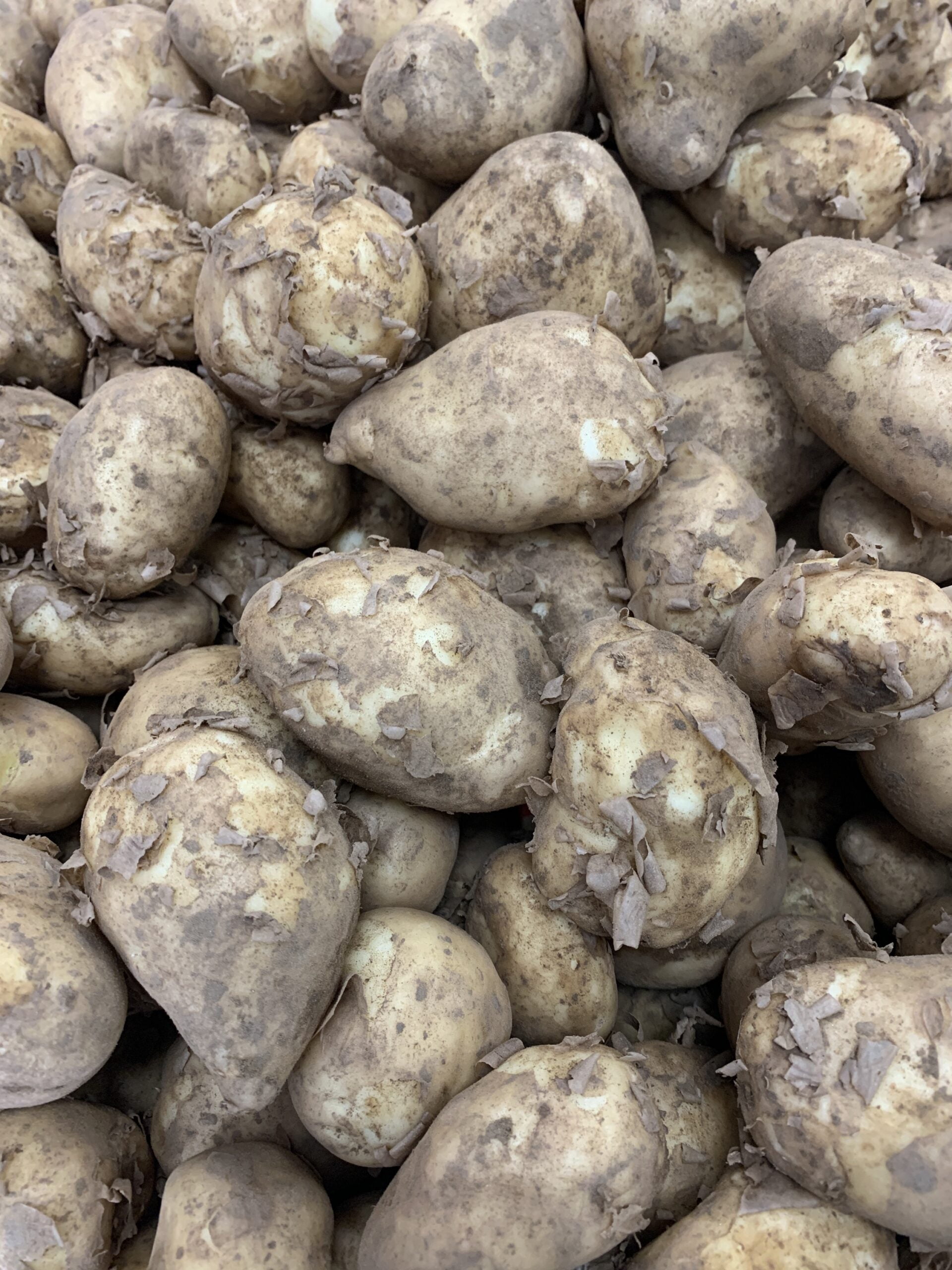 Potatoes Lincolnshire Top Fruits Wellington