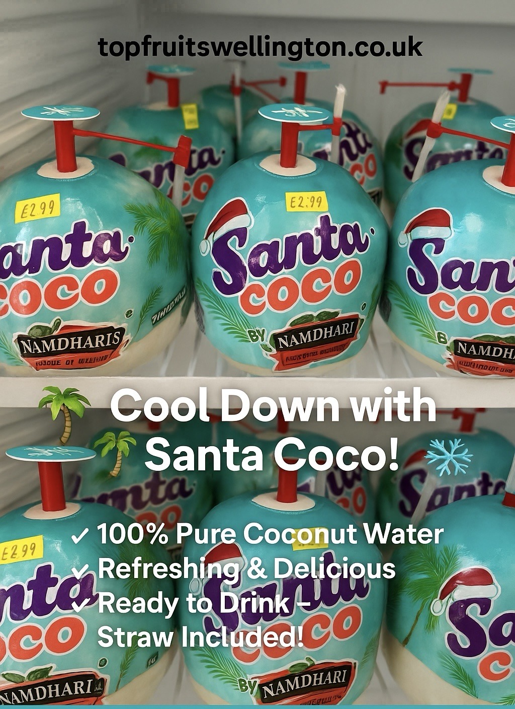 SANTA COCO Young Coconut