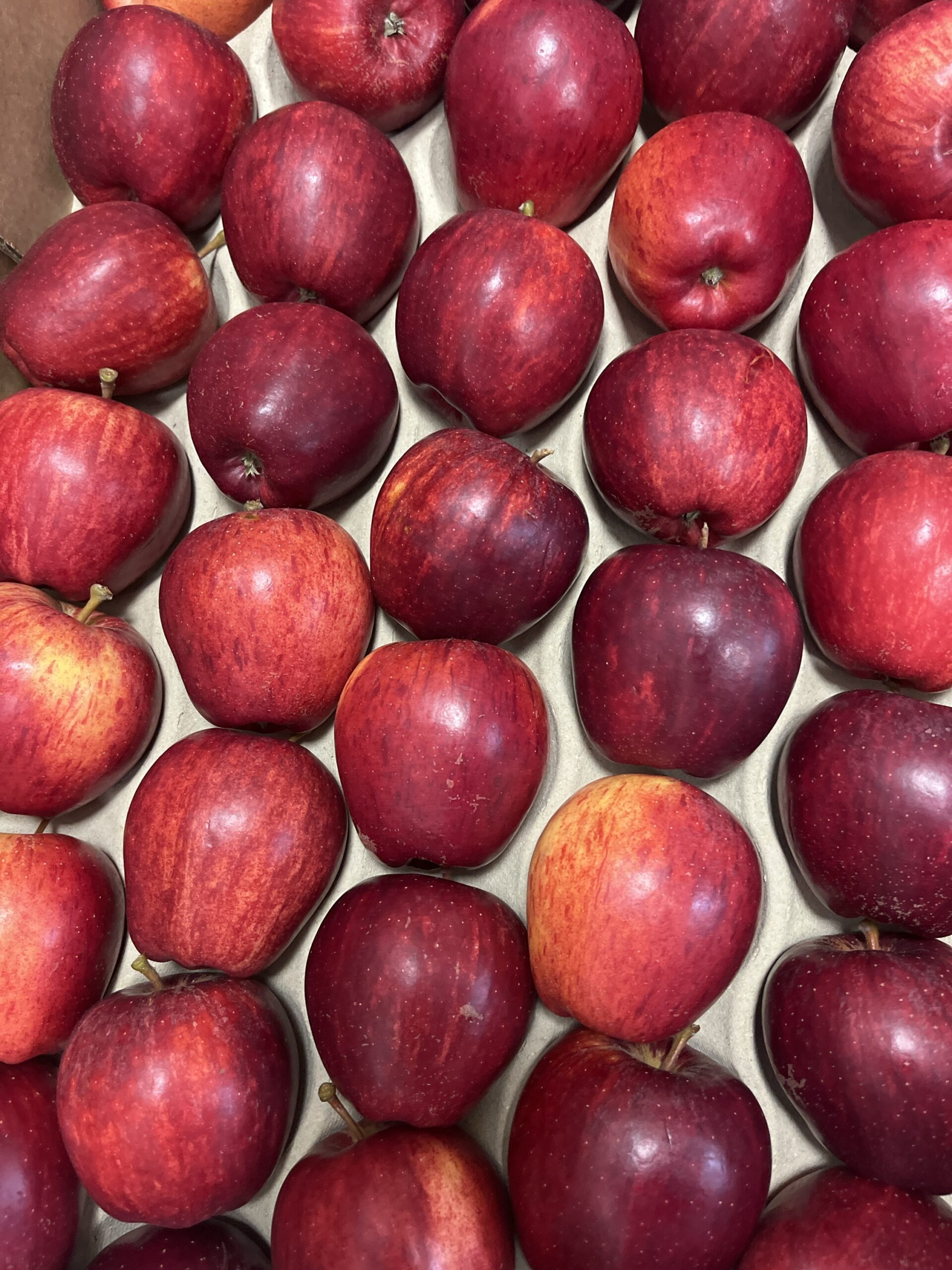 Apples Royal Gala (Produce of UK)